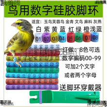 �B�ù��zܛ�_�h��h�R�eӛ̖�h���B�zȸ����������S���Ͻ���