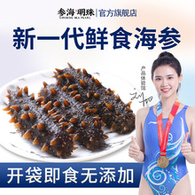即食海参批发冷冻鲜食大连刺参非淡干海参野生真空包装一件代发