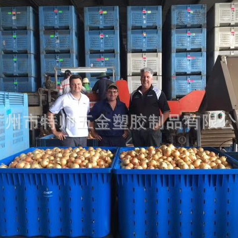 1160大卡板箱 可堆式周转箱苹果土豆辣椒周转箱