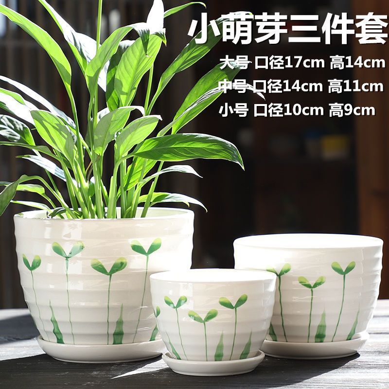 작은 새싹 3종 세트