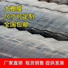 ����Ĥ�Ӻ���F�o��Ĥ͸�����B��ˮ���b�޷��m���÷Nֲ���ϱ�Ĥ