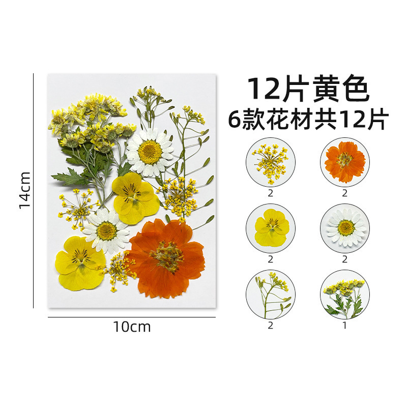 ins森系抹茶绿复古手账本东巴手工纸植物diy送朋友礼物小众纪念品|undefined