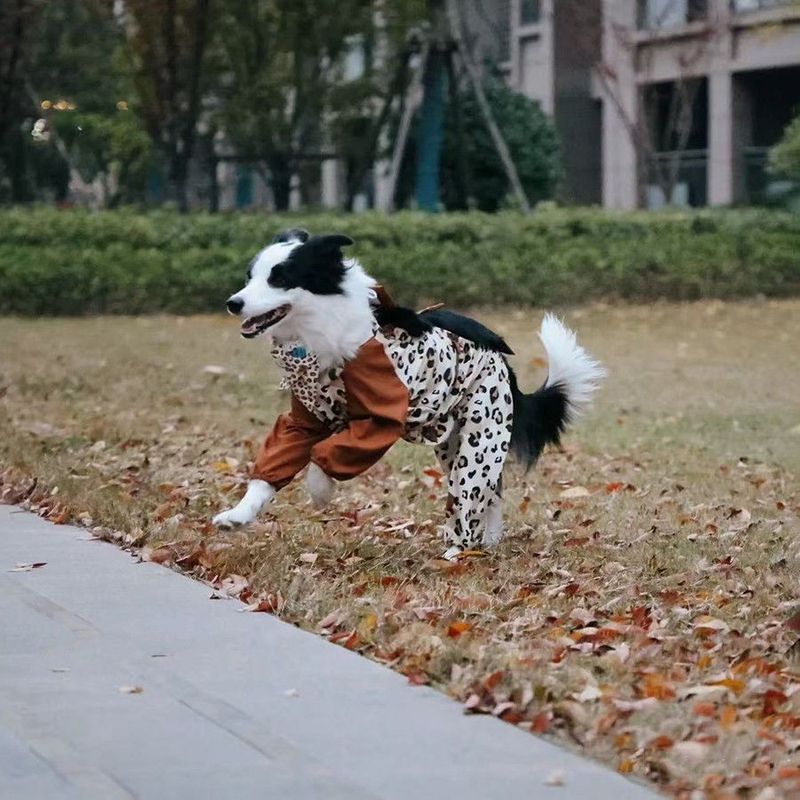 ペット服犬汚れ防止ズボン屋外防塵汚れ防止ズボン長毛大型犬辺牧サモエ外出四脚|undefined