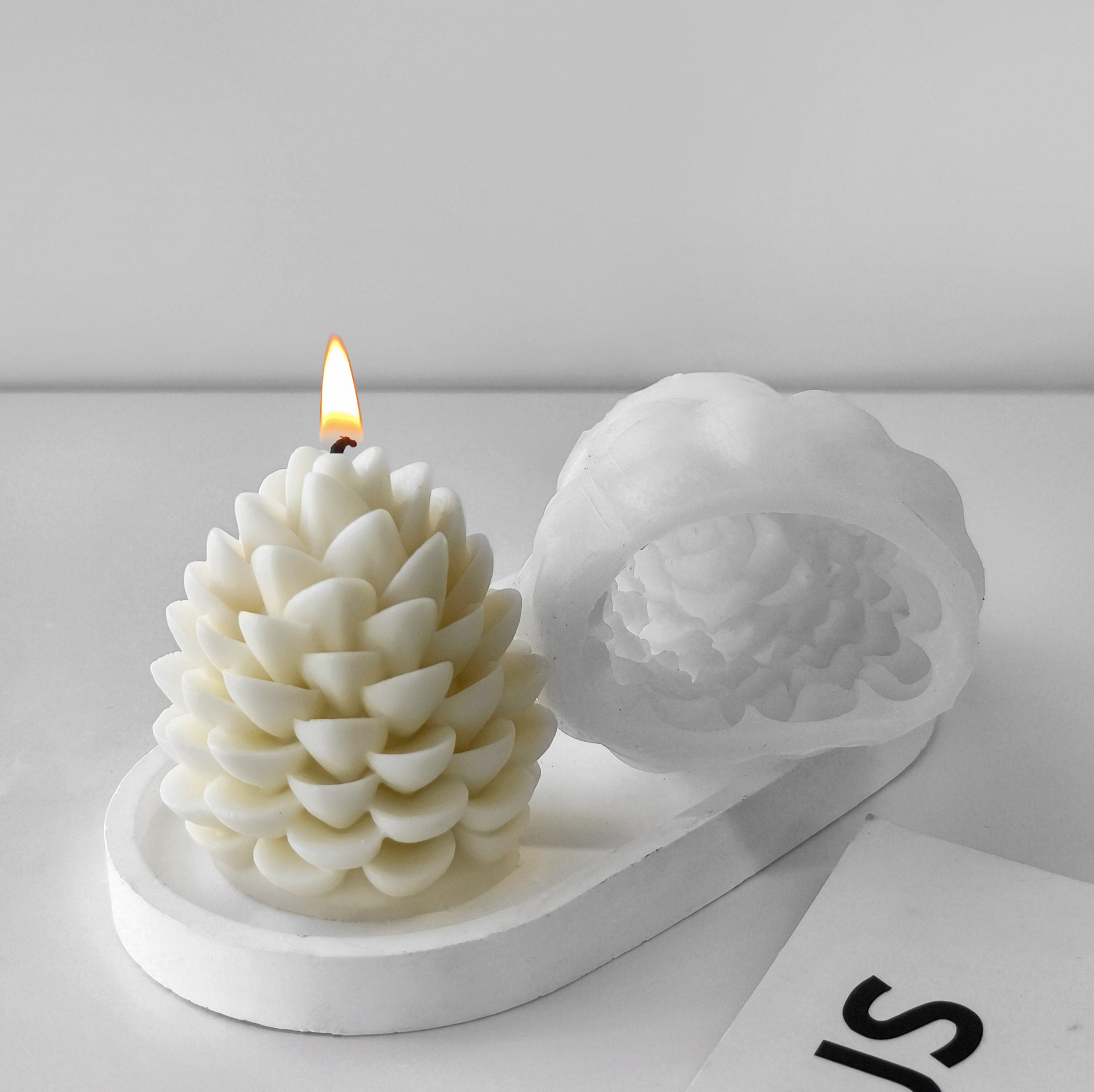 微信图片_202410071651481