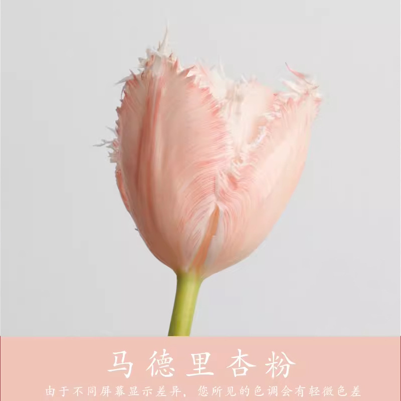 Material de embalaje de flores frescas Agente de tinción en aerosol de flores secas Salsa de ciruela negra Pintura en aerosol de flores Pintura en aerosol de flores Agente de color de flores