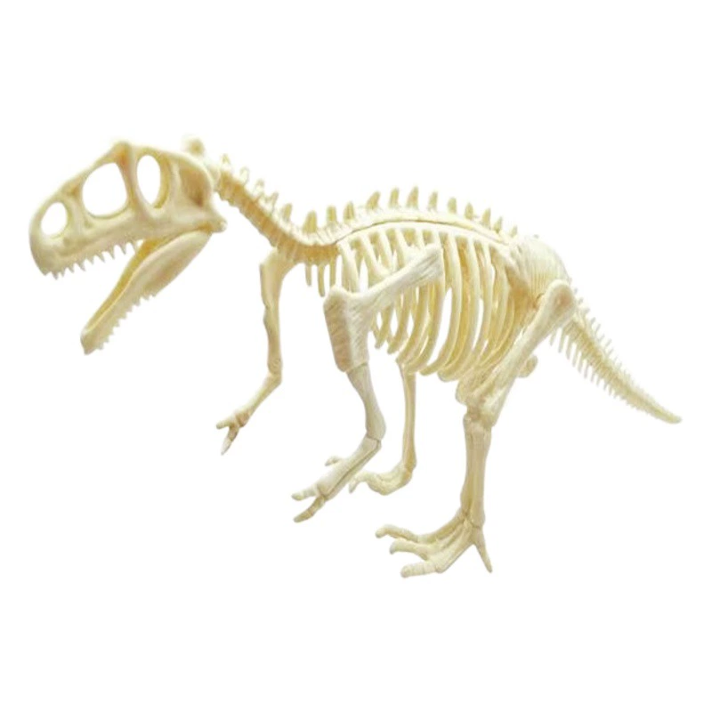 Оптовая Археологический Скелет Динозавра Большой Копать Ископаемое Динозавр Тираннозавр Рекс Скелет Производитель Оптовая продажа в наличии