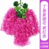 Lilac Wisteria Flower - Purple Red