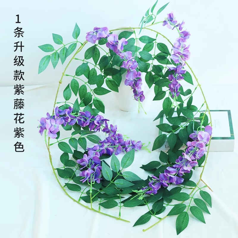업그레이드 된 등나무 등나무 보라색 1
