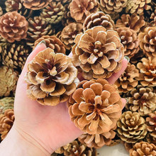 100���ɹ��b������ɹ������}�Q�ɹ��ɻ��Ĕz����diy����