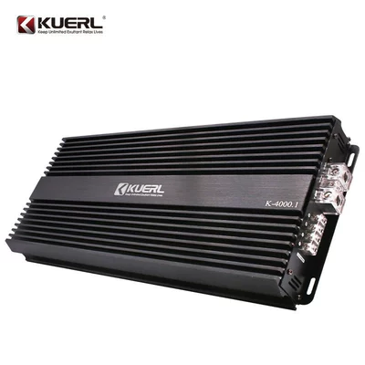 Type D Car Amplifier, Car speaker/subwoofer