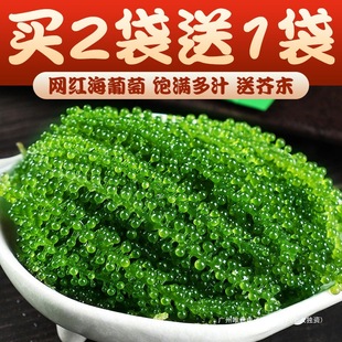 �W�t������100g���r��ʳ�}�n���������߲˾Gɫ�~���u������ͽ�ĩ