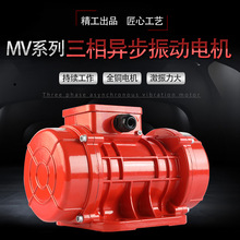 三相防尘防水振动器MV100/200/300工业震动马达筛下料仓振动电机