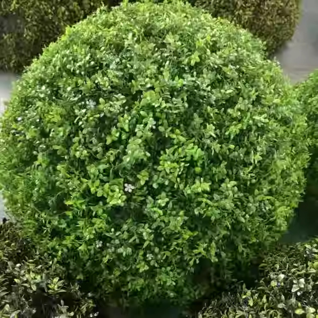 模擬植物壁緑植物背景壁ミラノプラスチック偽芝生ドアヘッド室内装飾植物花壁芝生|undefined