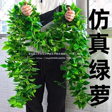 �Gֲ�͏d�����L�پG�[���G�}ˮ�ܗl�ٻ��L�l�L���ڳ��_�m����ֲ�q