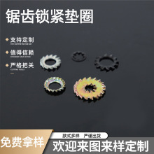 ��X�o�i�|Ȧ�S�ҬF؛304���P䓷��ɉ|Ƭ/�����|Ȧ ����X�|Ȧ��