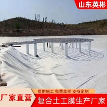 复合土工膜生产厂家 尾矿沼气池河道防渗漏 一布一膜两布一膜