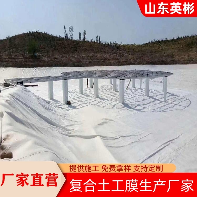 复合土工膜生产厂家 尾矿沼气池河道防渗漏 一布一膜两布一膜