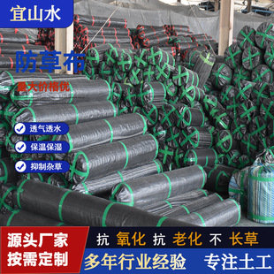 Special Weed-Proof Cloth for Fruit Trees, Agricultural Anti-Aging Weed-Proof Cloth, Breathable Water-Seepage Black Ground Cloth, Pp Punched Cloth, Weed-Proof Cloth