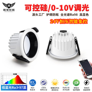 Scr Downlight Dimming 0-10V Led Hotel Low Voltage 24V Constant Voltage Centralized Control Dimming and Color Downlight
