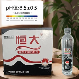 纯净、矿泉水;碳酸饮料