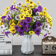 �S�����l���R�d�羳���컨�ȼ�����ɫ�����潁���廨�Ҿ��b���