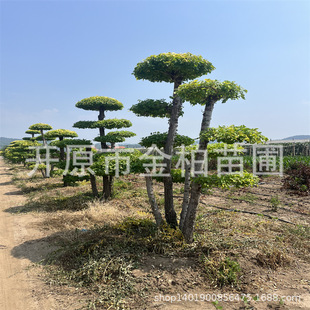 ���~�����͘�������l�ܘ��Ƭ���͵ؽӪ��U���~�����Ա��粥�N��