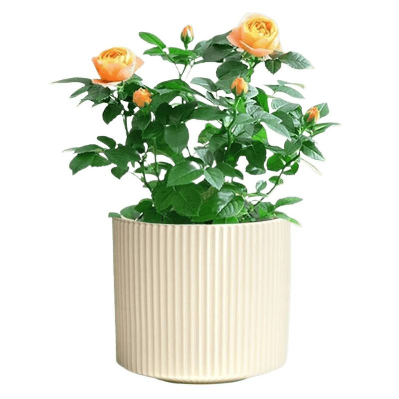 セラミック植木鉢マット北欧シンプルな植木鉢大型トレイ付きデスクトップハンギングスイカズラ多肉植物胡蝶蘭緑植物鉢植え|undefined