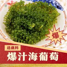 盐渍海葡萄100海带丝新鲜即食海藻菜小零食裙带菜寿司绿色鱼子酱