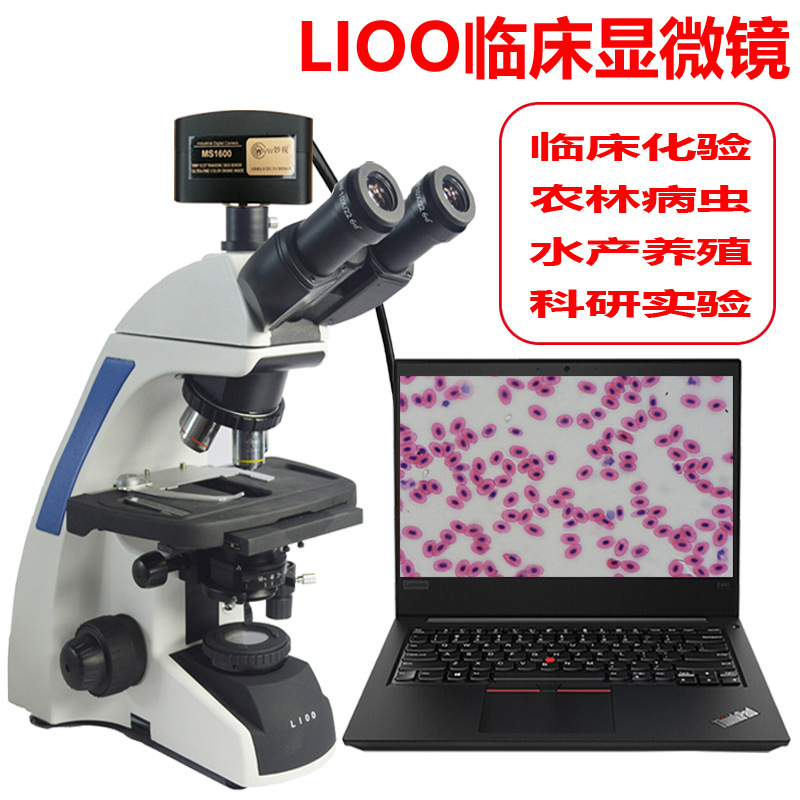 LIOOS600T专业生物显微镜双目三目医院科研实验室高倍显微镜
