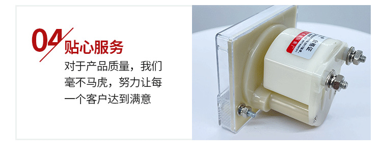 乐清市蜀隆仪表厂xq_08