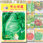 约300粒牛心甘蓝种子 中熟卷心菜洋白菜椰菜包包菜球甘蓝春丰甘蓝