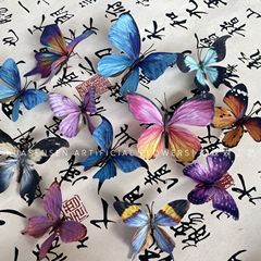 3D立体シミュレーション蝶小紅書起爆の雰囲気感蝶窓装飾ヘアピン飾りdiy材料