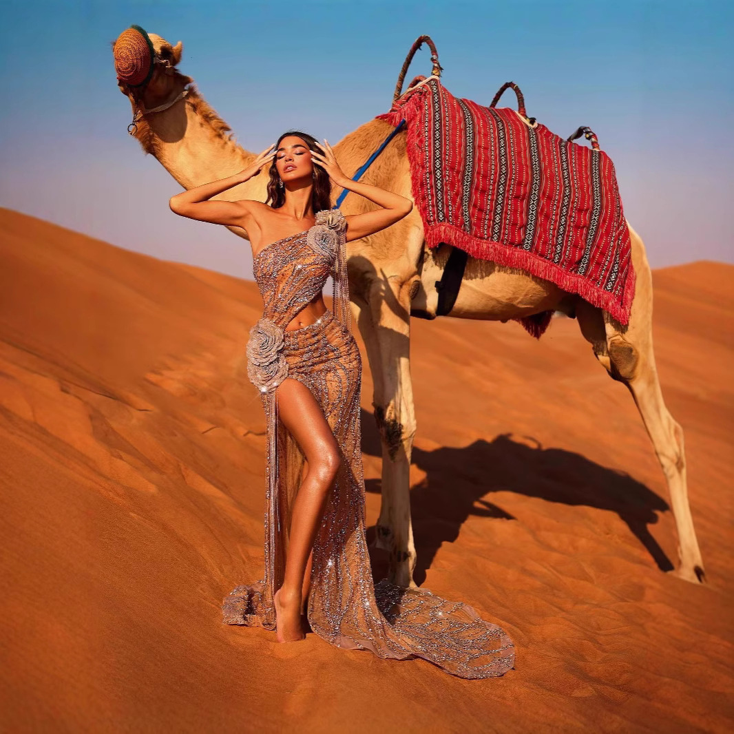 跨境欧美独立站新款沙漠敦煌单肩性感钻石花朵砖石链条写真晚礼服