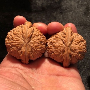 ����������ǐ���ת{���^���������Ϙ�ֽ�С�ߴ������P���ְѼ�