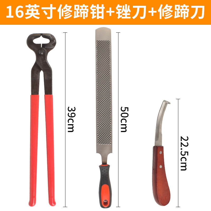 Herradura para caballos, tijeras de casco de buey, conjunto de casco de animales, tijeras de casco de caballo, tijeras de casco de caballo, tijeras de casco de caballo, tijeras de casco de caballo