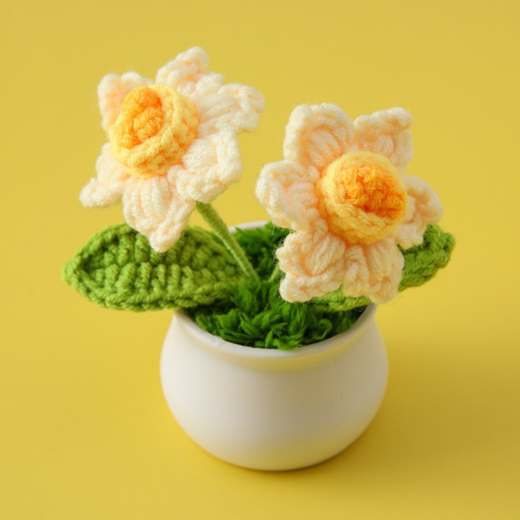 [완성된 작은 흰색 대야] 양방향 노란색 수선화