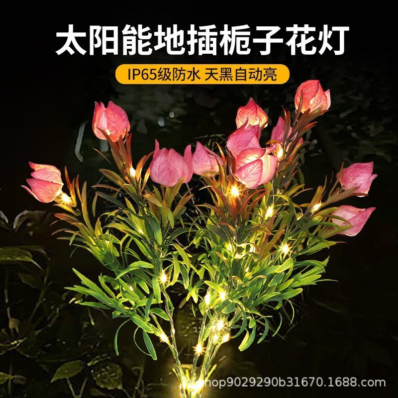 핑크 치자꽃 은은한 조명