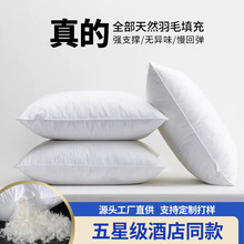 沙发抱枕芯床头靠垫腰靠枕头内胆a类靠背枕心羽绒腰垫床靠大抱枕