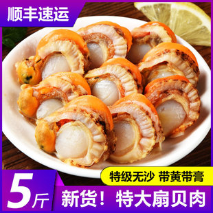 ��ؐ�����r��������S������ؐ���rˮ�a�rؐ��������ؐ�������l