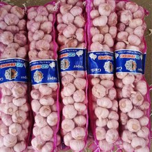 ���ڵϰݾ�Ʒ��Ƥ�����汣�r؛������