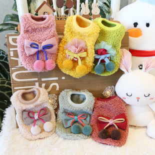 Petstyle �����Yë�q�̹����Ŀɐ۽q�̹���С������Ȯ��؈�·���