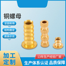 T�����νz�U��ĸ�~���m��ĸ��ñ �����C��ĸ�A���m��ĸ�z���~��ĸ