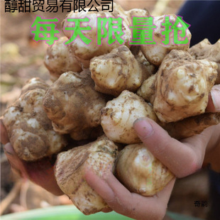 10���󽪬F�������r���ӽ������������󽪷N��2��5���b