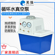 SHZ-D(III)ѭ�hˮʽ������ձÌ����̨ʽ��V���͸��͜p�����s�C