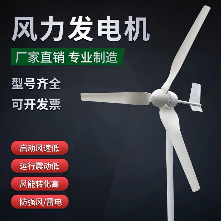 足功率小型风力发电机家用风光互补路灯户外船用1000W12V24V220V