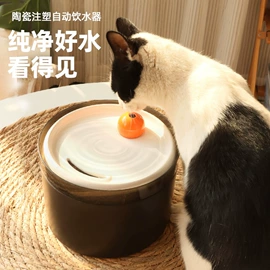 猫猫包、箱;猫猫玩具;猫厕所