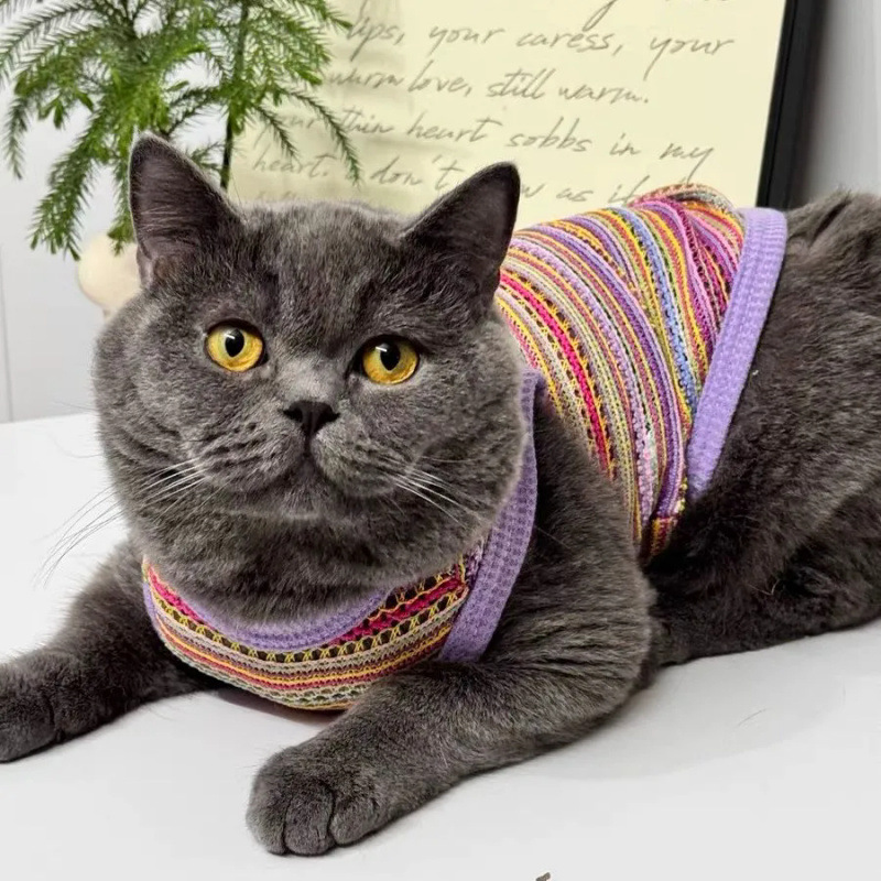 Perros de mascotas primavera y verano ventilador hueco chaleco de trenzado ropa delgada multicolor dorada capa azul muñeca de gato