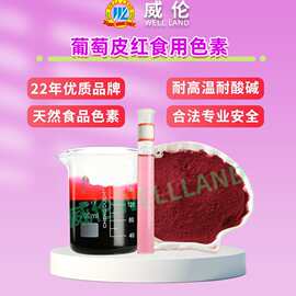 威伦色素葡萄皮红医药保健品口红饮料烘焙食用厂家直销紫红色上色