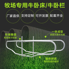 奶牛养殖牧场单双卧牛卧栏限位栏牛护栏热镀锌加厚牛卧床机械