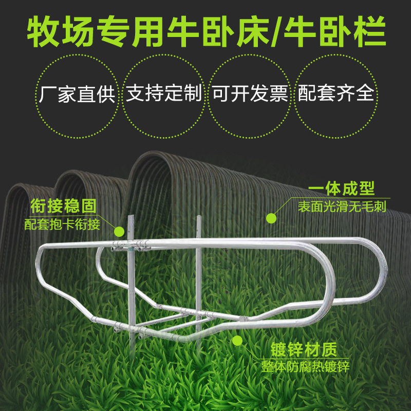 奶牛养殖牧场单双卧牛卧栏限位栏牛护栏热镀锌加厚牛卧床机械